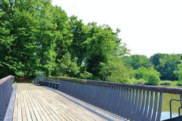 Fototapeta na wymiar 森に続く道　新緑　橋　風景