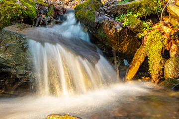 Small waterfall with sun shining on it, tiny creek in Appalachian eastern deciduous hardwood forest, leaves on ground