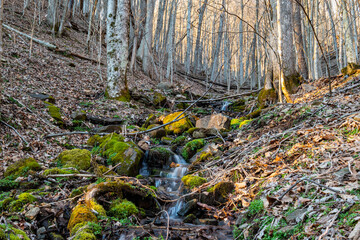 Small waterfalls in Appalachian forest in winter, leaves on ground