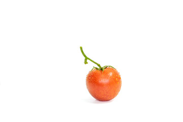 Tomatoes on a white background