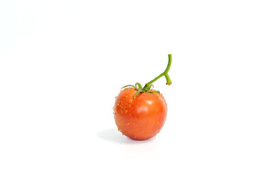 Tomatoes on a white background