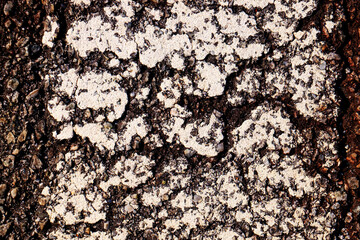 Macro of road tar texture