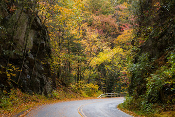 vibrant autumn color in the mountains of the Great Smoky Mountain National Park in Tennessee