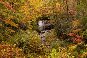 vibrant autumn foliage and peaceful cascading waterfalls in the Great Smoky Mountain National Park in Tennessee.