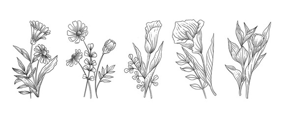 Fototapeta premium Hand Drawn Botanical Flowers Set