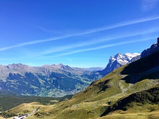 Fototapeta premium Panoramic view of the Swiss Alps on a clear summer day