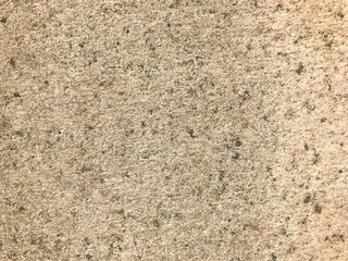 Beige carpet with dots texture