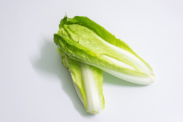 Cabbage in white background