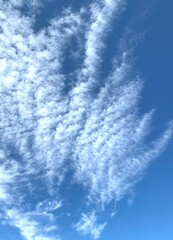Clear blue sky with white cumulus clouds, amazing vertical puffy cotton like clouds 
