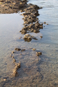 stones in the water © DIONYSIOS