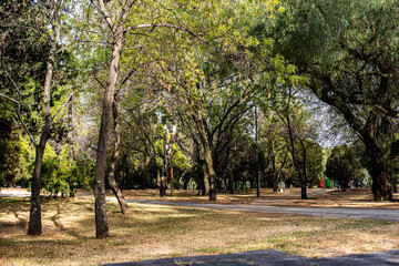 Bosque de Chapultepec , ciudad de México
