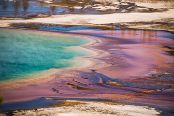 abstract like close up shot of the colorful Grand Prismatic Spring in Yellowstone National Park in Wyoming.