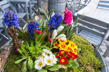Fototapeta na wymiar Flowers crocuses, hyacinths, daisies in early spring in a street vase