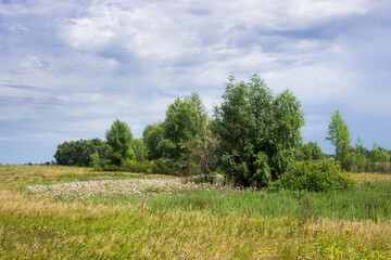 The Bugulma-Belebey Upland, the North-East of the Samara region.