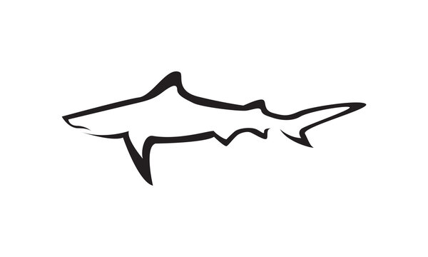 modern shape shark swim logo vector symbol icon design illustration