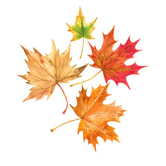 Naklejka na ściany i meble Beautiful autumn set with watercolor hand drawn colorful maple leaves. Stock illustration.