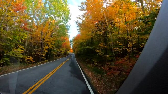 TimeLapse 10X - Driving Under Trees as Trees Change Colors During Fall in Vermont.