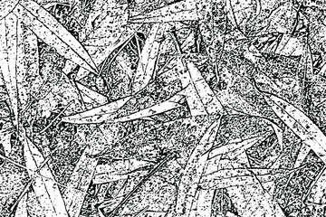 Grunge organic texture of fallen leaves. Monochrome background of the natural forest floor with chaotic leaves, spots, noise and grain. Overlay template. Vector illustration