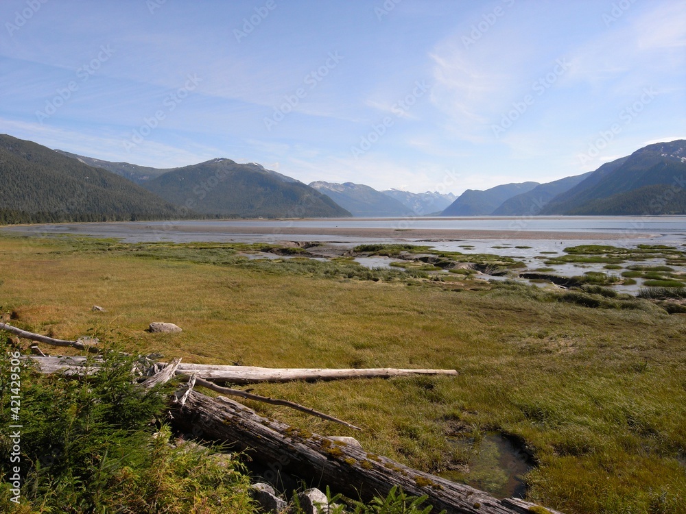 Wall mural skeena river on yellowhead highway near prince rupert canada