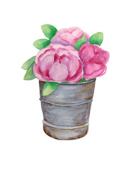 Pink peonies in a vase. A bouquet of flowers in a bucket, isolated on a white background. The illustration is hand-drawn in watercolour.