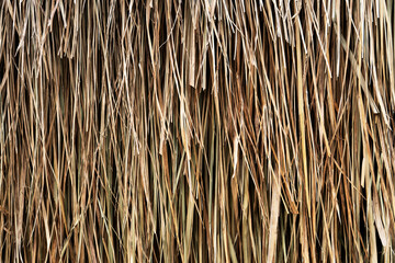 wall of Thai farmer cottage in countryside