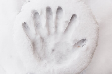 A handprint with six fingers. abnormal fingerprint. Bigfoot handprint. Lucid dream concept.