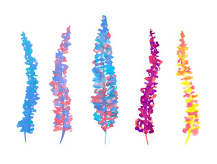 Watercolor set of hand drawn colored heather flower