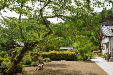 白毫寺境内の様子