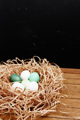 easter eggs in the nest decoration spring holiday dark background