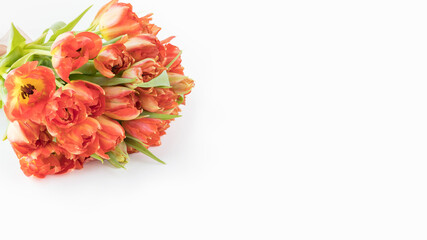 Bouquet of orange tulips close up. Tulips background . Spring bouquet with a copy space on a white background .  Giving card with tulips . 
