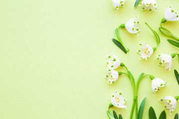 Fresh white snowdrops with green leaves on light table background. Pastel color. First messengers...