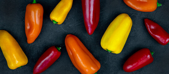 Colorful mini peppers on black background, banner