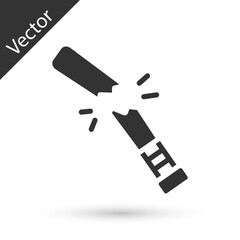 Grey Broken baseball bat icon isolated on white background. Vector