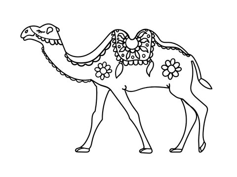 recommend clip art: Camel is a coloring book for a children's magazine. Coloring book for relaxation of adults.