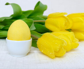 Painted chicken egg in white porcelain coaster, yellow tulips on a white wooden table. Easter concept Handmade, creativity with children for decoration on easter