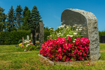 Summer view of a row of gravestones with colorful flowers