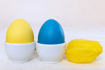Painted chicken eggs in white porcelain coasters, yellow tulip on a white wooden table. Easter concept Handmade, creativity with children for decoration on easter