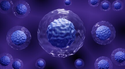 Embryonic stem cells therapy, hematopoietic stem cell transplantation - obrazy, fototapety, plakaty