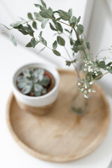 Dried flowers on a white table, decor in the interior. Dry flower decoration in a vase, natural light.
