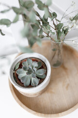 Dried flowers on a white table, decor in the interior. Dry flower decoration in a vase, natural light.