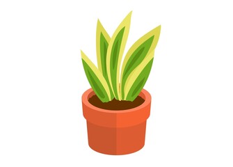 Decorative plant on pot. Sansevieira. Simple flat illustration