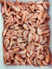 Frozen fresh king prawns. Delicious shrimp. close up. Fresh shrimp background.