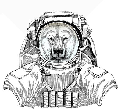 Polar bear head. Wild astronaut animal in spacesuit. Deep space. Galaxy. Vector animal portrait. © helen_f