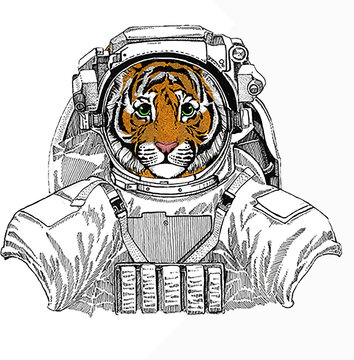 Baby tiger, small little tiger for children. Wild astronaut animal in spacesuit. Deep space. Galaxy.