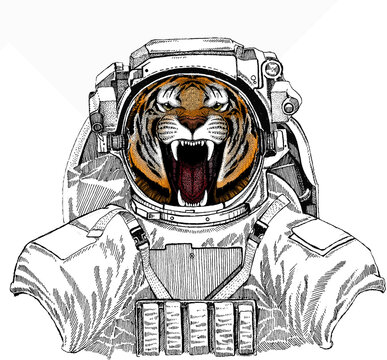Vector tiger portrait. Animal head. Wild astronaut animal in spacesuit. Deep space. Galaxy.