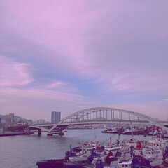 대한민국 부산 영도 대교