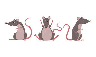 Funny Rat as Long-tailed Rodent Sitting on Hind Legs Vector Set
