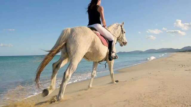 Woman ride a white hors eon the beach and sea shore. 