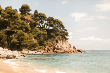 Obraz premium The nature of spain. beach. palm. tourism