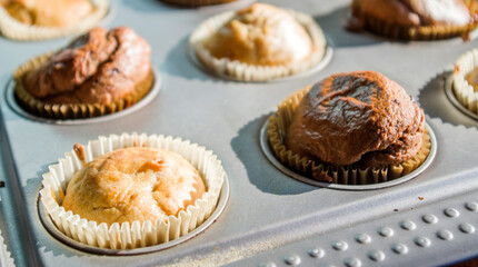 small vanilla and chocolate muffins illuminated by the morning light ready for breakfast
